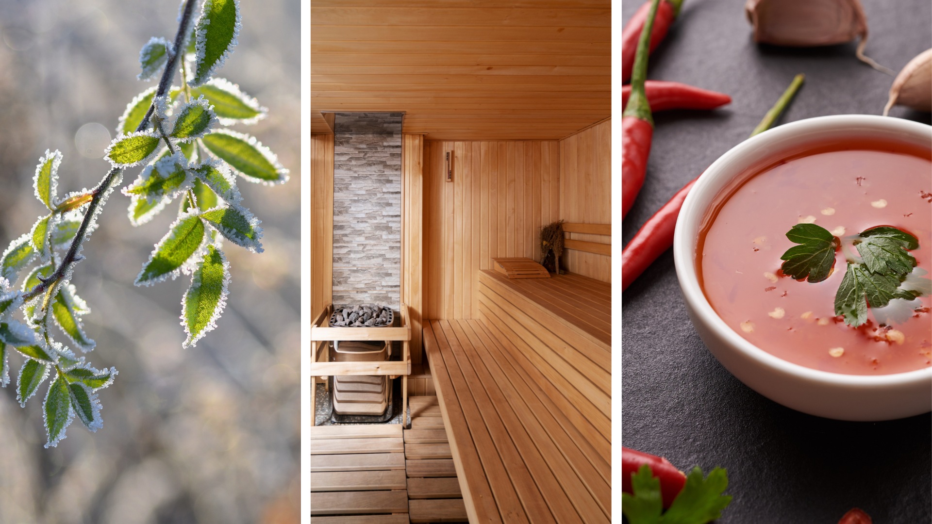 Rosaceatriggers_Kold vejr, sauna og stærkt krydret mad